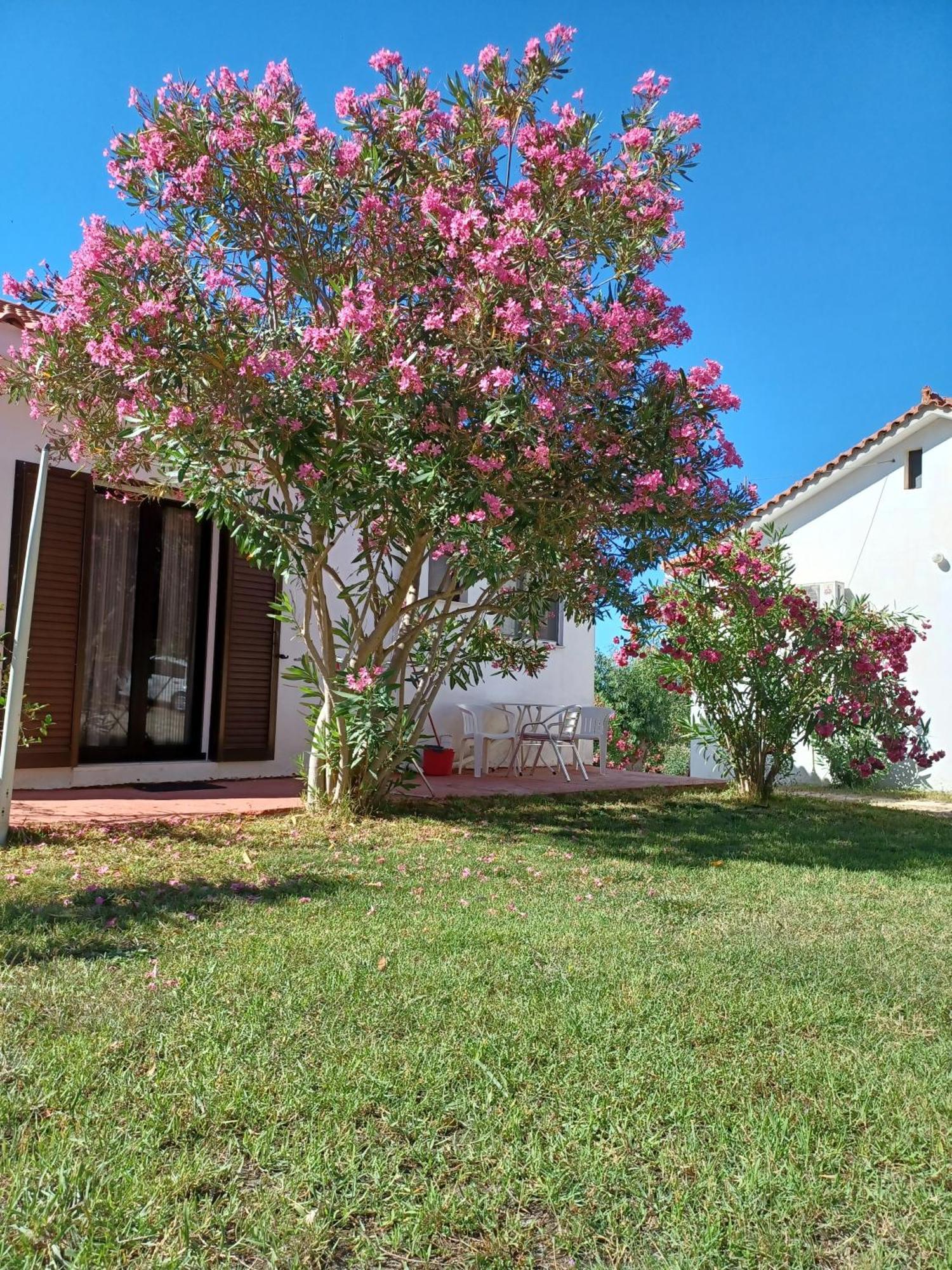 Nerissa Bungalow 2, Two Bedroom House With Sea View Σπαρτιά Εξωτερικό φωτογραφία